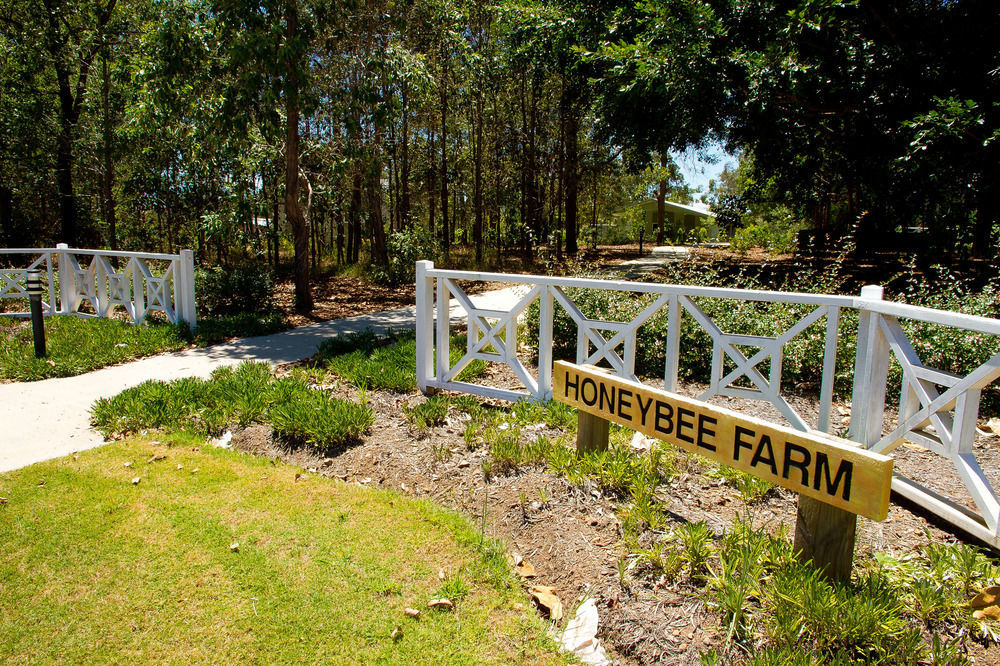 Honeybee Wellness Resort Kandanga Dış mekan fotoğraf